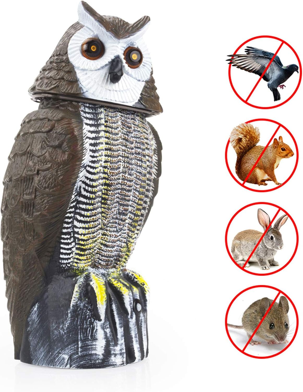Redeo Solar Powered Owl Decoy Scarecrow Bird Repellent Rabbit Repeller with Flashing Eyes & Scary Sound & Rotating Head 10-16 ft Motion Activated : Garden & Outdoor