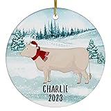 Santa Hat and Scarf Welcome Winter Charolais Cattle