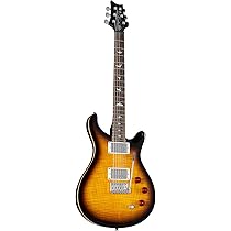 Amazon.com: PRS Paul Reed Smith 6 String SE DGT, McCarty