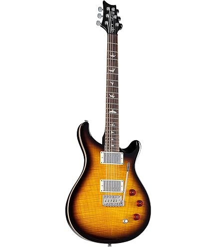 Amazon.com: PRS SE Hollowbody Standard Piezo Electric Guitar, Dog