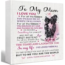 Amazon.com: Mom Gift from Daughter, To My Mom I Love You for All ...
