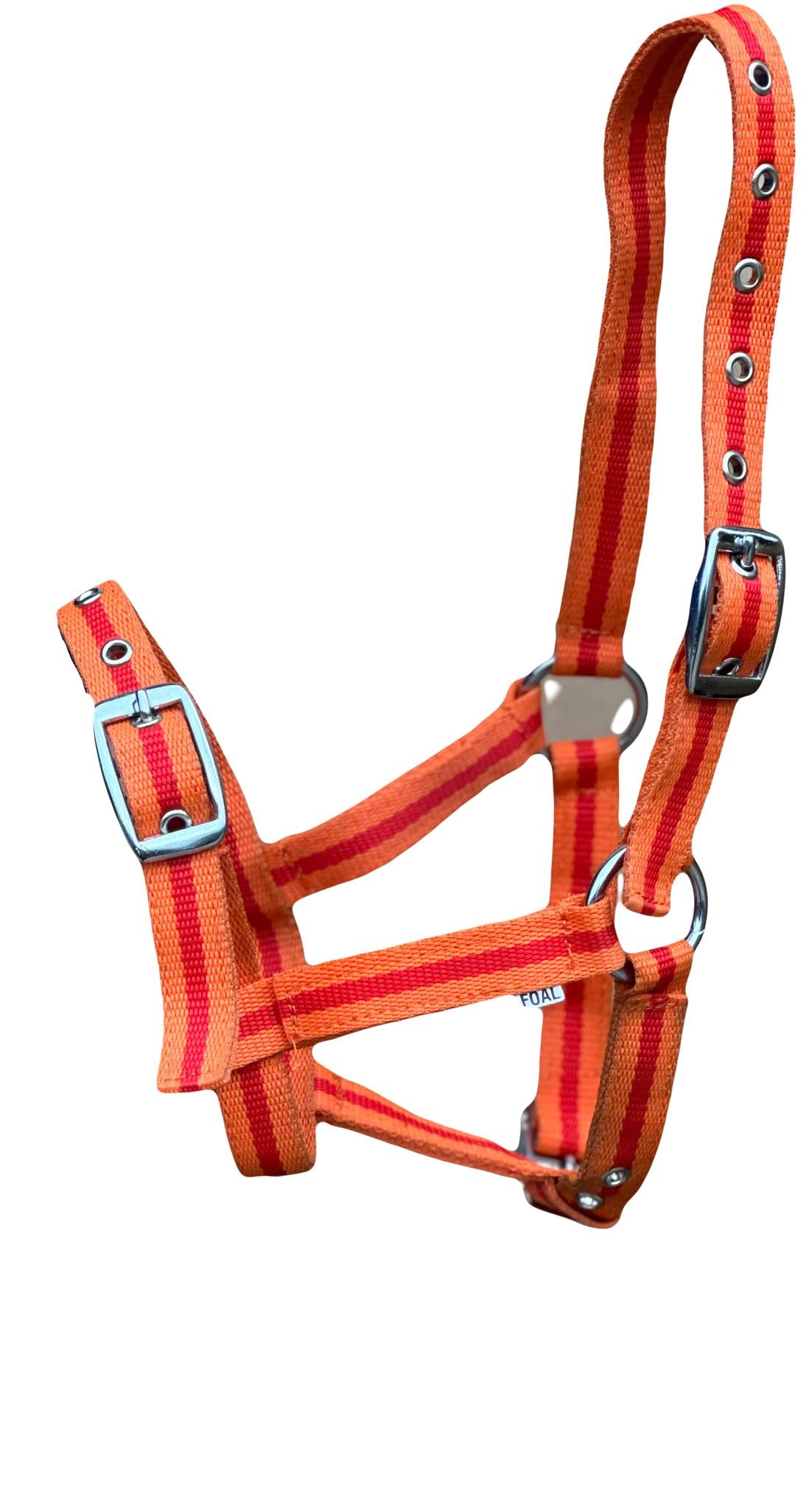 Equipride FOAL HEADCOLLAR HALTER MULTI ADUSTABLE IN 10 AMAZING COLOUR (Orange/Red)