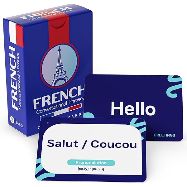 Amazon.com: 201 French Phrases You Need to Know Flashcards