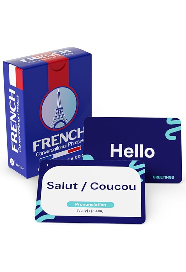 Amazon.com: 201 French Phrases You Need to Know Flashcards