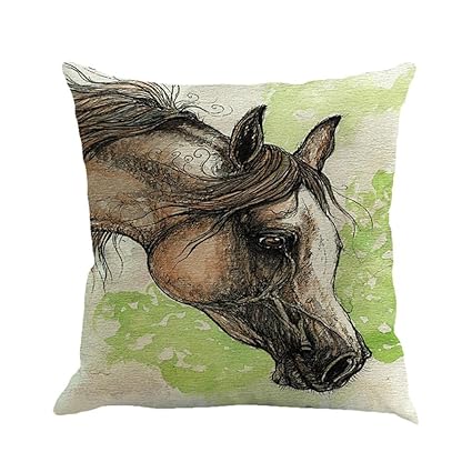 Amazon Com Pillow Cushion Covers Fashion Horse Home Decorative