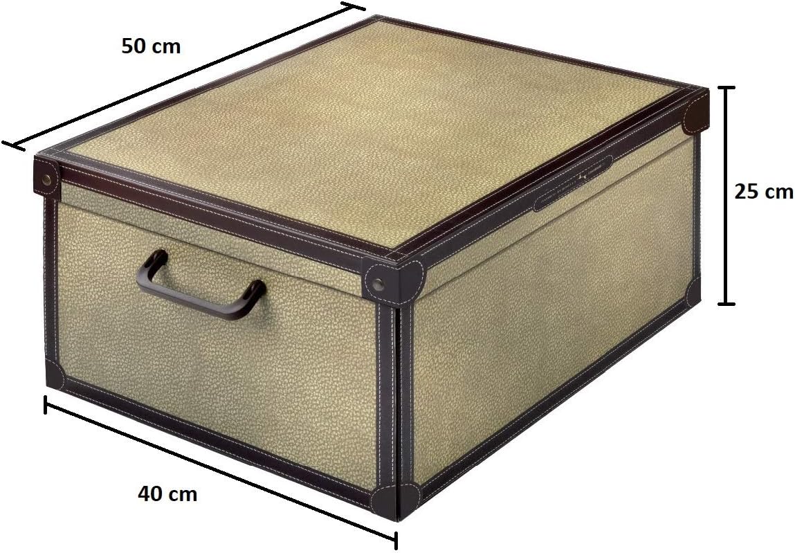 Kanguru Baulotto Caja en cartón, Multicolor, 40 x 50 x 25 cm: Amazon.es: Hogar
