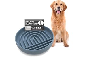 Should We Go? - The Slowdown Bowl - Silicone Slow Feeder for Dogs & Puppies, Slow Eating, Modern Lick Mat Design, Reduces Gulping, Dishwasher Fit, for All Breed, Mealtime Challenge, Large - Ocean