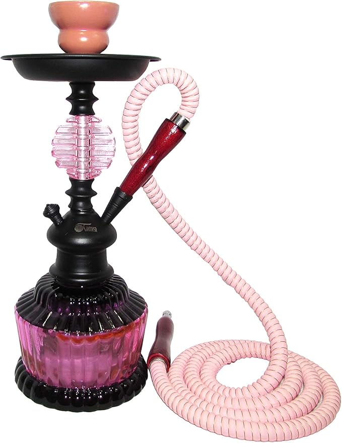 Zebra Smoke Series 14" 2 Hose Medium Aya (QD) Hookah