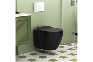 DeerValley Elongated Wall Mounted Toilet with Soft Close Seat, 1.1/1.6 GPF Dual Flush, Compact Space Saving Design for Small 