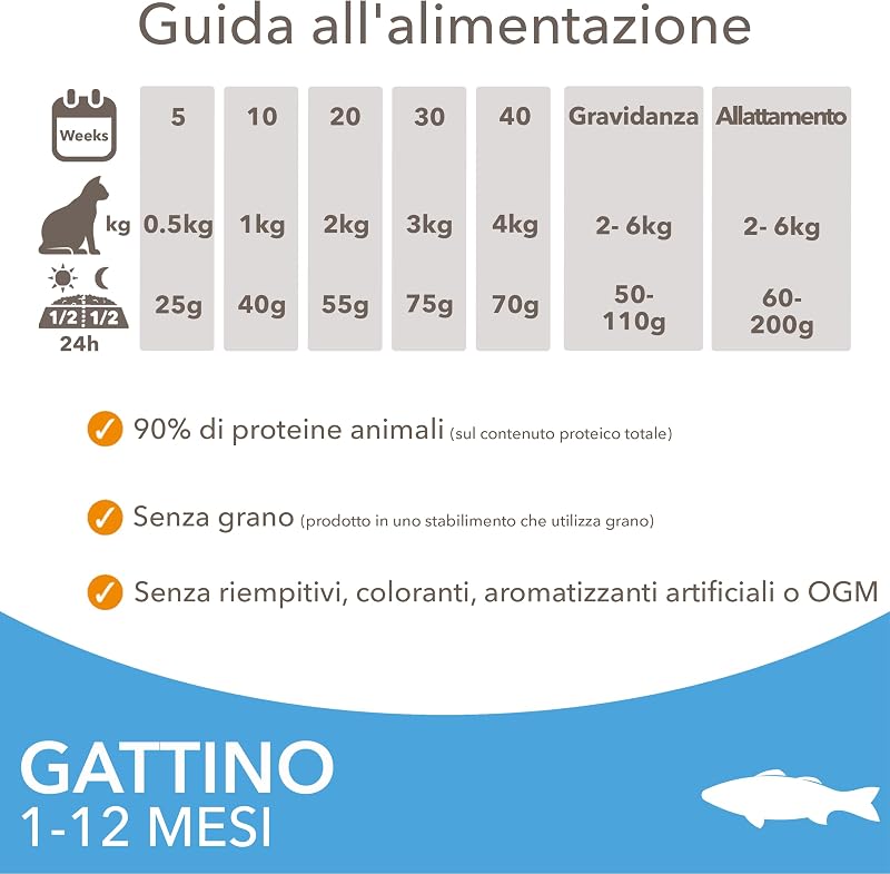 Cibo secco per gattini da 1-12 mesi con pesce oceanico, 10 kg