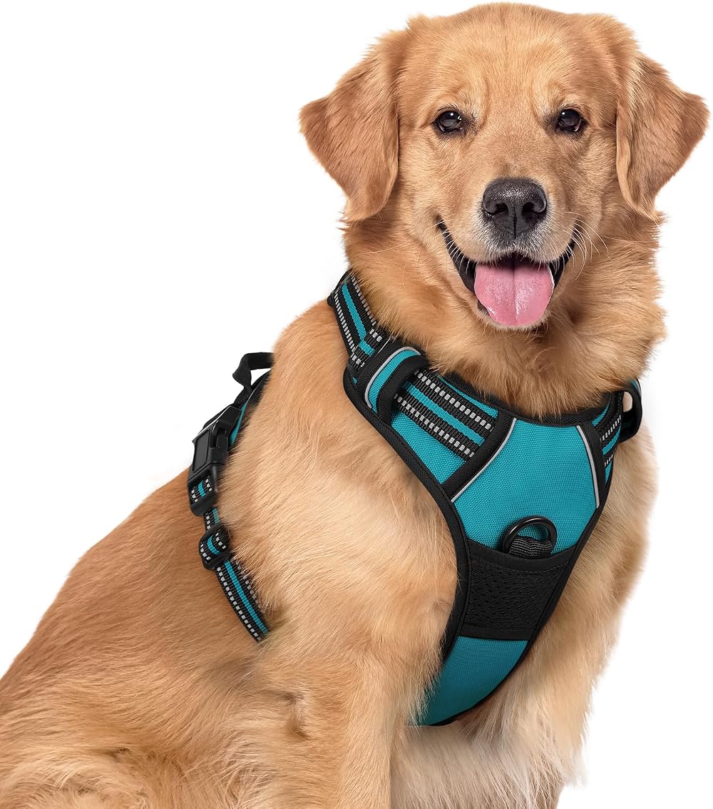 rabbitgoo Large Dog Harness No Pull Reflective Teal XL with Front Back Clips