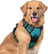 rabbitgoo Large Dog Harness No Pull Reflective Teal XL with Front Back Clips