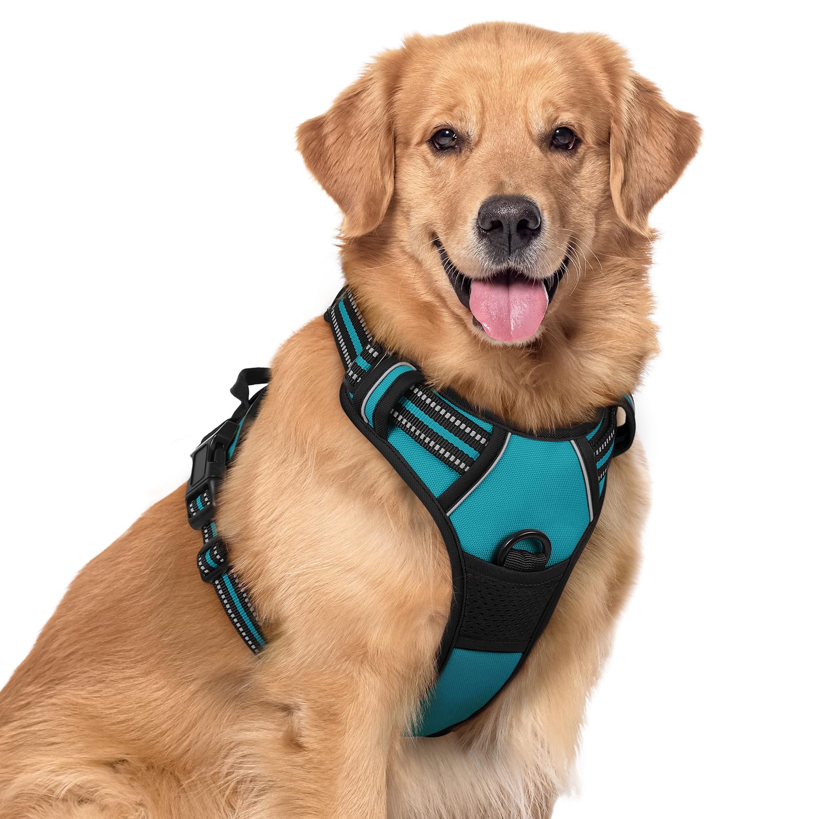 rabbitgoo Dog Harness Large Dog No Pull Pet Harness with 2 Leash Clips, Adjustable Soft Padded Pet Vest, Reflective No-Choke with Easy Control Handle for Training or Walking, Teal XL