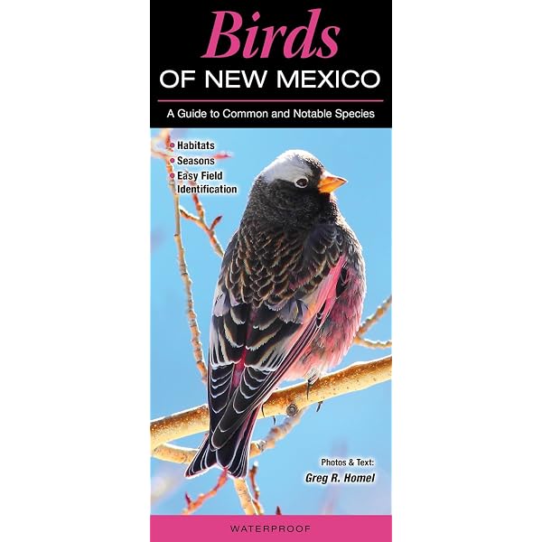 Birds of the Forest: Lansdowne, James Fenwick: 9780884860273