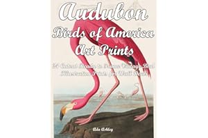 Audubon Birds of America Art Prints: 24 Cutout Ready to Frame Vintage Bird Illustration Prints for Wall Decor