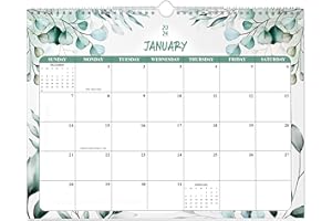 COOLENDAR 2024 Calendar 24 Months from January 2023 to December 2024, Hanging Calendar 2024 for Wall, Monthly Wall Calendar 2024, 2024 Desk Calendar with Large Occasions (GRN1)
