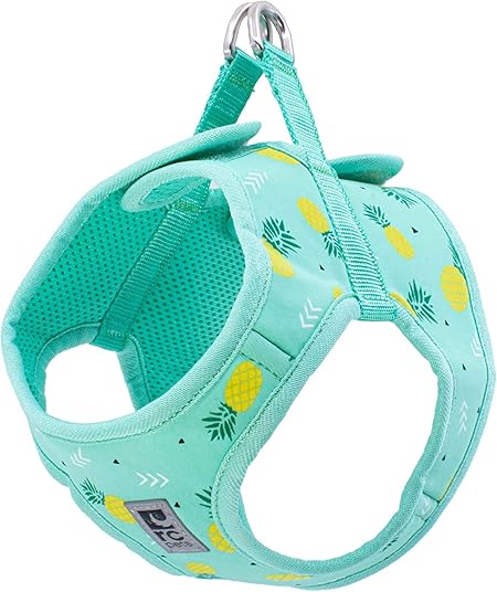 Cirque Soft Walking Step In Dog Harness, Medium, Teal