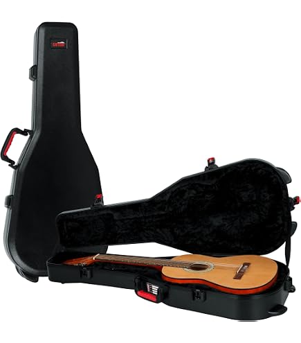 Amazon.com: Schecter SGR-8V V-Shape Hardcase : Musical Instruments