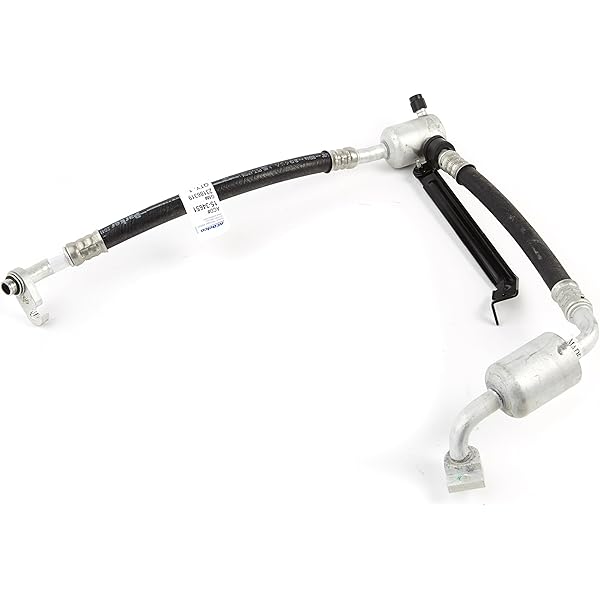 Amazon.com: ACDelco GM Original Equipment 15-34822 (42441703) Air 
