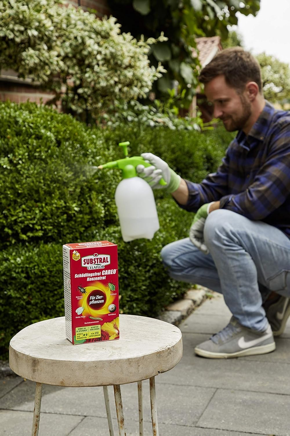 Substral Celaflor Schädlingsfrei Careo Konzentrat für Zierpflanzen, 250 ml - gegen Blattläuse, Buchsbaumzünsler, etc. 2