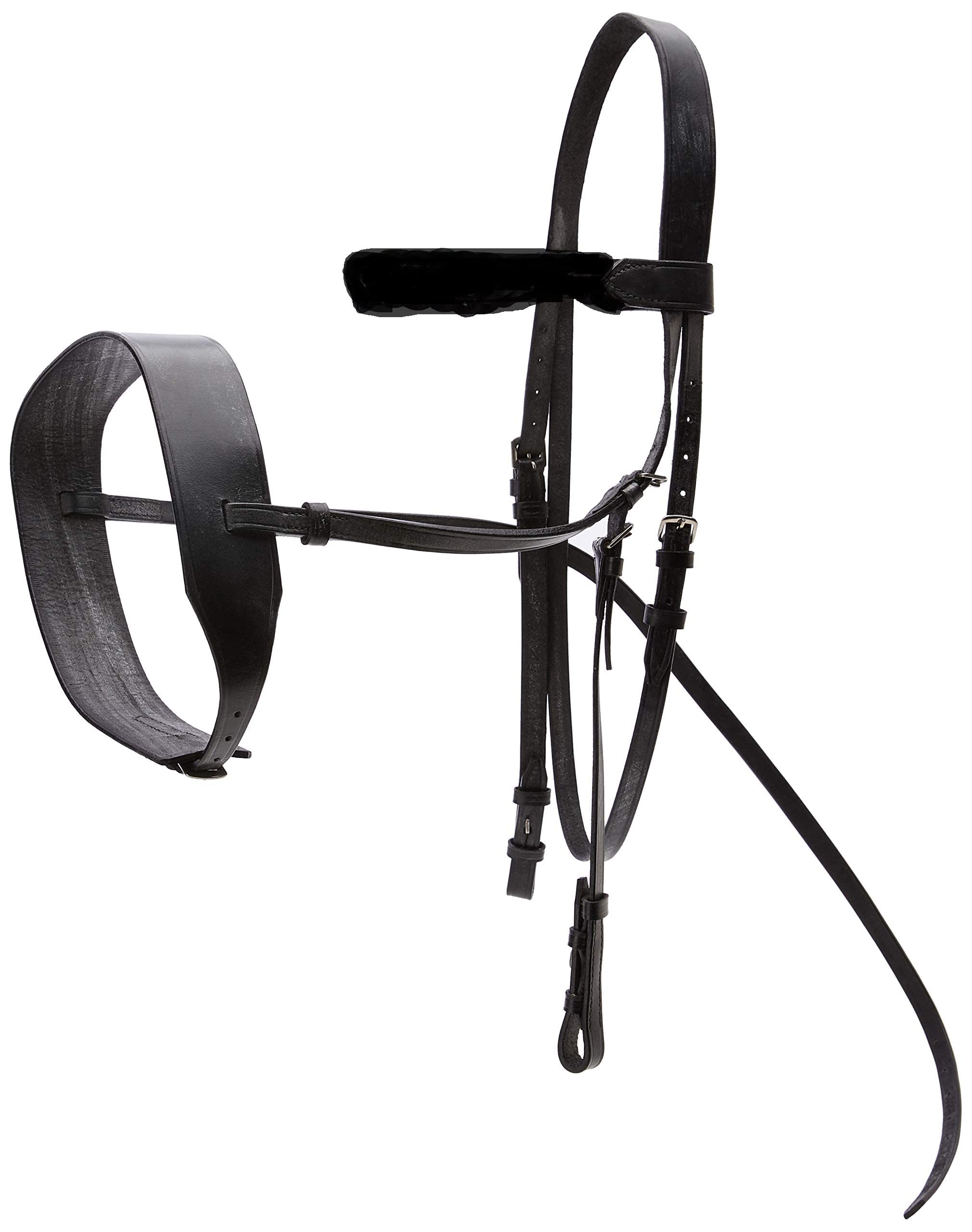 Cwell Equine English Working Hunter Show Hunt Bridle Wide 3/4" Cheeks 2" Noseband Black (Cob)