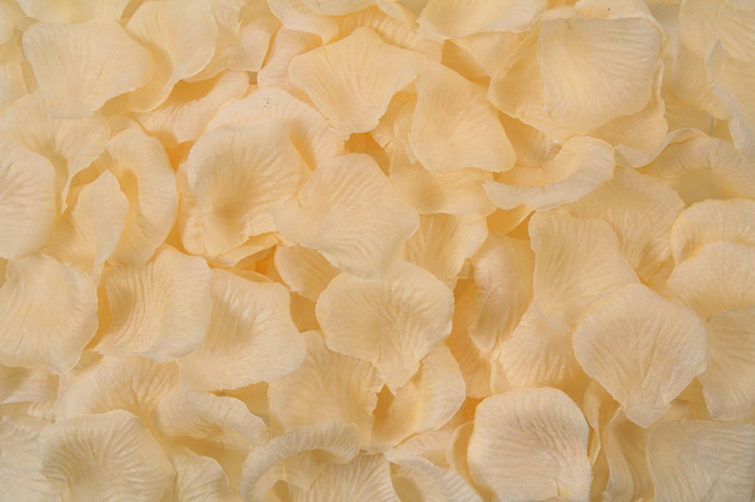 HLLbuy 10,000 PCS Fabric Champagne Rose Flower Petals Wedding Artificial Flower Petals for Wedding Decoration and Romantic Occasion