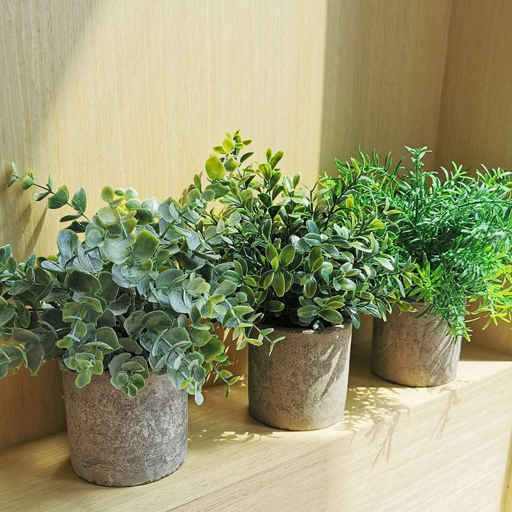 Winlyn Mini Potted Plants Artificial Eucalyptus Boxwood Rosemary Greenery in Pots Faux Potted Herbs Small Houseplants 8.3"-9" Tall for Indoor Greenery Tabletop Décor Centerpiece 3 Pack -