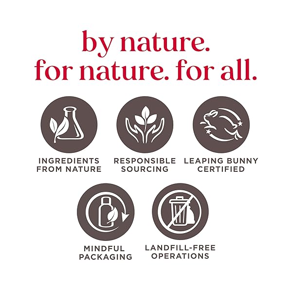 BURT’S BEES 100% NATURAL MOISTURIZING LIP BALM, MULTIPACK, 4 COUNT