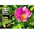 The Audubon Society Pocket Guides; Familiar Flowers of North America