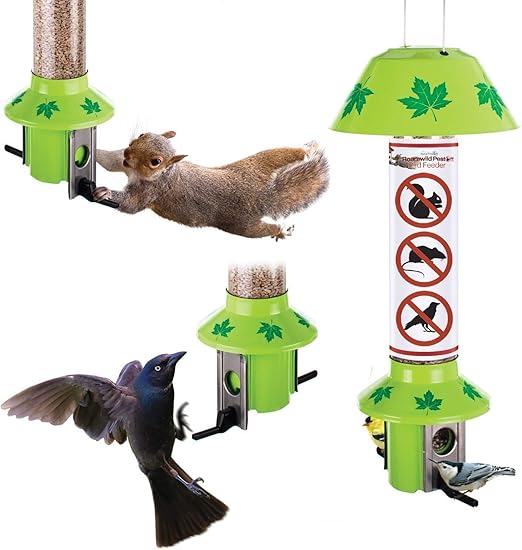 Roamwild Squirrel Proof Wild Bird Feeder Pestoff Green Leaf