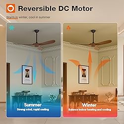 addlon Ceiling Fans, 60 Inch Indoor/Outdoor Ceiling