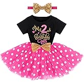 Baby Girls 1st 2nd Birthday Outfit Mouse Ladybug Dress Headband Polka Dots Tutu Skirt Set ONE Cake Smash Photo Shoot