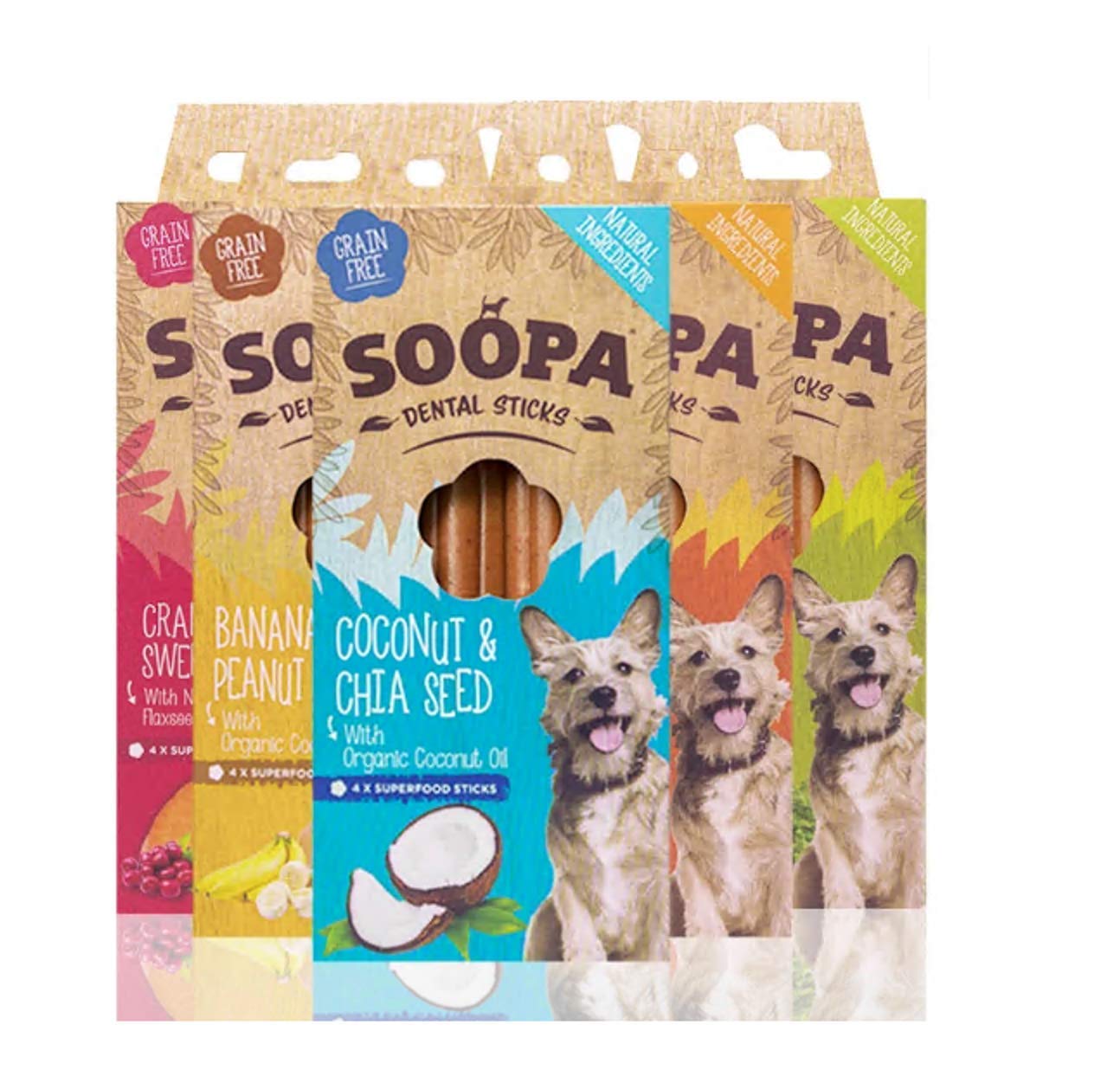 Mixed Pack Dental Sticks - 5 Pack