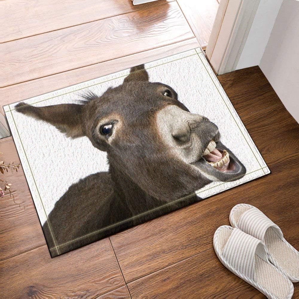 GoHEBE Animal Lover Cute Funny donkey Bath Rug Non-Slip Floor Entryways Outdoor Indoor Front Door Mat,60x40cm Bath Mat Bathroom Rugs