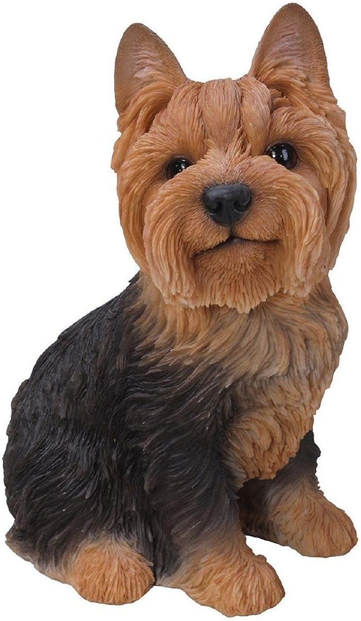 Vivid Arts - Real Life Sitting Yorkshire Terrier Home or Garden Decoration (XRL-YKTS-B)
