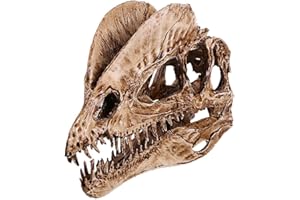 MAGIDEAL Dinosaur Dilophosaurus Skull Resin Fossil Model Collectibles Home Bar Decoration 2 Color Pick - White , 18cm