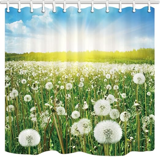 Amazon Com Hisoho Plant Shower Curtain Dandelion Field The Sun Is Shining Brightly Bathroom Resistant Polyester Fabric Waterproof Shower Curtain Set With Hooks 71x71in Home Kitchen