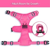 PoyPet No Pull Dog Harness Reflective Front Back D-Rings Pink L view 6