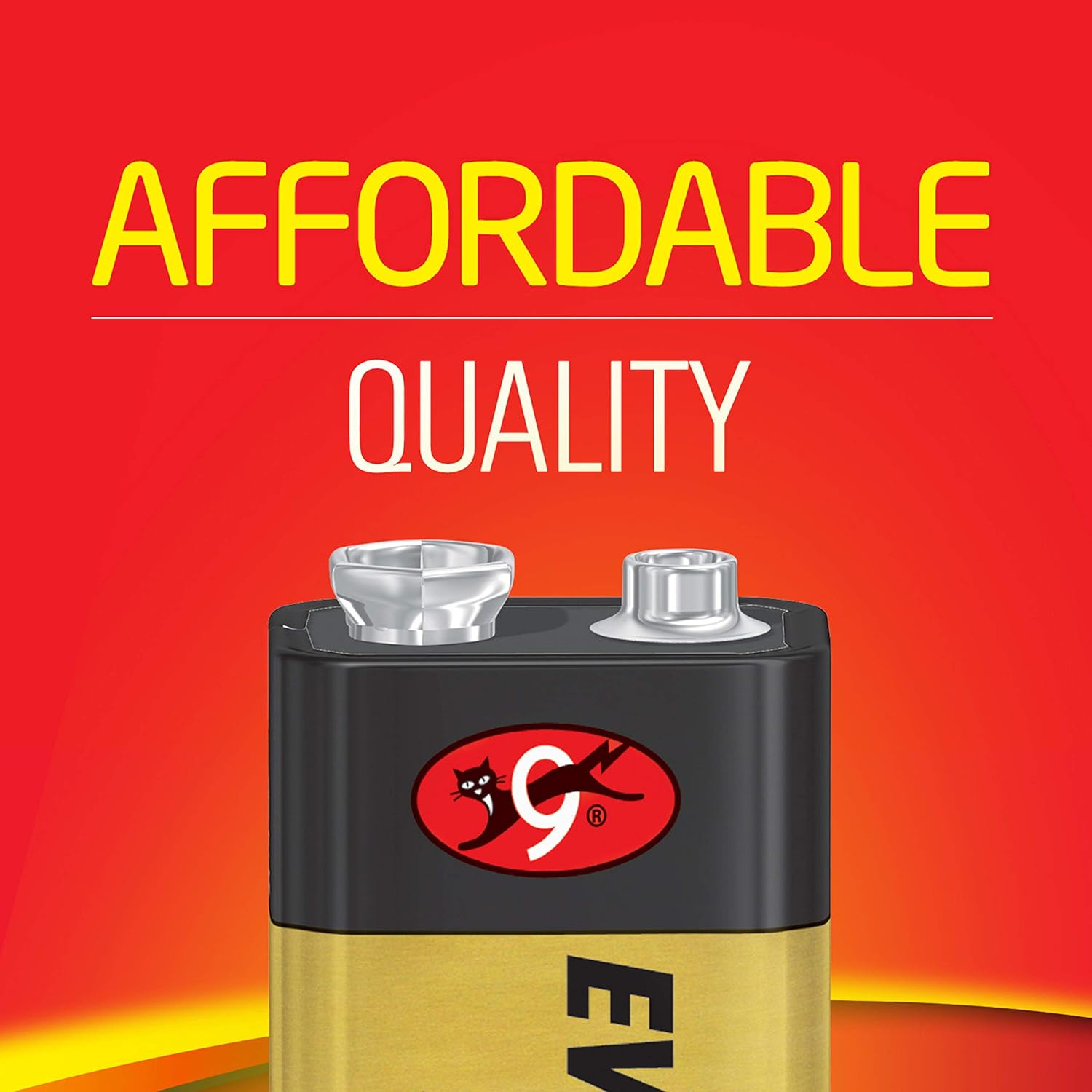EVEREADY 9V Battery, 9 Volt Alkaline (1 Count): Health & Personal Care
