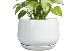 G EPGardening Ceramic Planter 9 Inch - Plant Pots with Drainage and Ceramic Saucer, Flower Pots for Indoor Plants, Modern Outdoor Planter, Living Room Decor, Gifts for Plant Lovers, White