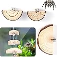 3pcs Jumping Spider Enclosure Ledges, Magnetic Jumping Spider Enclosure Ledges Ladder Magnets Jumping Spider Habitat Pet Spider Enclosure Accessories