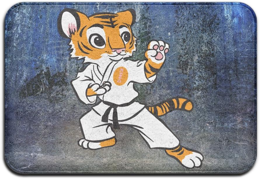 Herry Noo Doormat Karate Tiger Coral Fleece Indoor/Outdoor For Home/Kitchen/Office/Bathroom 40*60