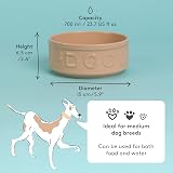 Mason Cash Cane Dog Bowl 15cm 700ml Stoneware Dishwasher Safe view 5
