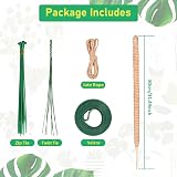 YAUNGEL Moss Poles 2Pcs 80CM Coir Totem Poles with 20M Twist Ties Indoor view 6