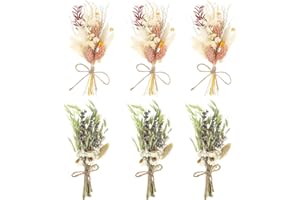 Auidy_6TXD 6pcs Mini Dried Flowers Bouquet, Bridesmaid Bouquet, Dried Flowers for Crafts, Small Vases for Table Centers, Bohemian Wedding Decorations, Birthday Cake Arrangements, Bridesmaid Gift Box