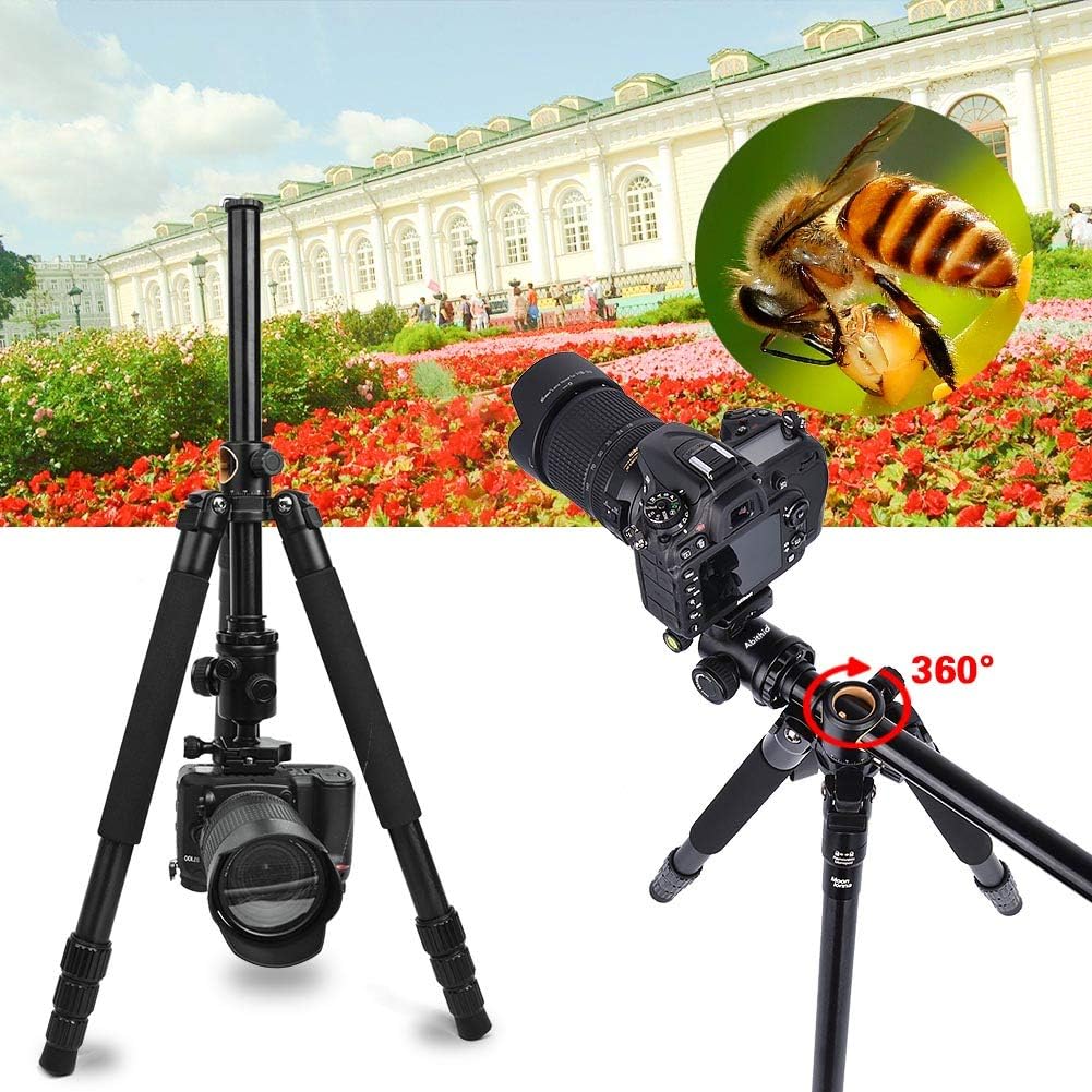 Camera Tripod & Monopod for DSLR, 62'' Professional Horizontal Arm Tripod with 360° Rotatable Metal Ball Head, 4 Sections Compact Aluminum Alloy Tripod for for Canon Nikon Sony Olympus Fuji Projector. : Camera & Photo
