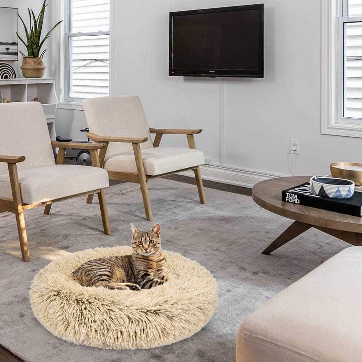 GASUR Dog Bed Cat Beds Donut, Soft Plush Round Pet Bed Small Mini Medium Size Calming Bed, Self Warming Winter Indoor Snooze Sleeping Kitten Bed Puppy Kennel (2020", Frost) : Kitchen & Dining