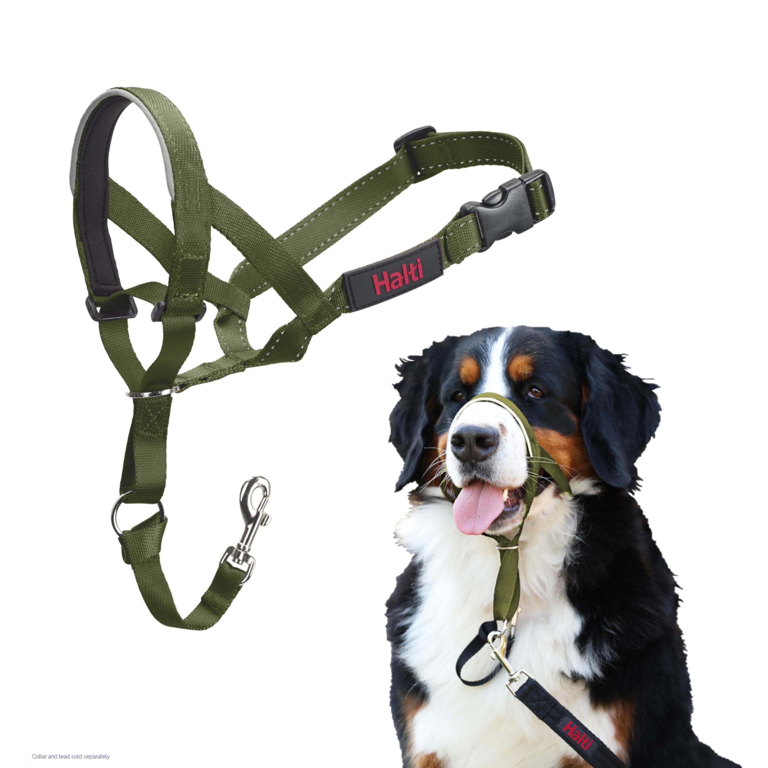 Halti Headcollar - Stop Your Dog Pulling on the Lead. Adjustable, Reflective and Lightweight, with Padded Nose Band. Dog Training Anti-Pull Collar for Large Dogs (Size 4, Forest Green)