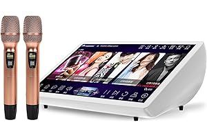 New Pihaosen Chinese Karaoke Machine 19.5 inch Machine LED Capacitive Touch Screen Professional Wireless Microphone with Effect Cloud Update Download Songs Home Party Karaoke Play