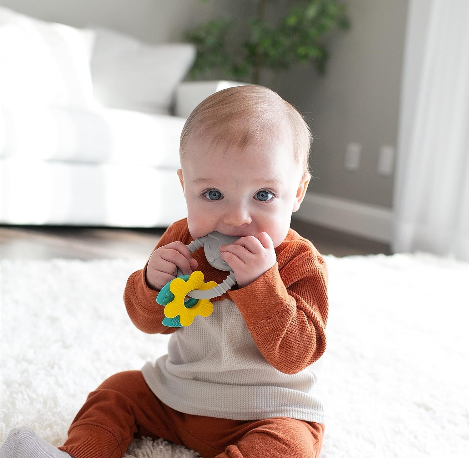 Dr. Brown’s Learning Loop Silicone Ring Teether, Fox - 3m+